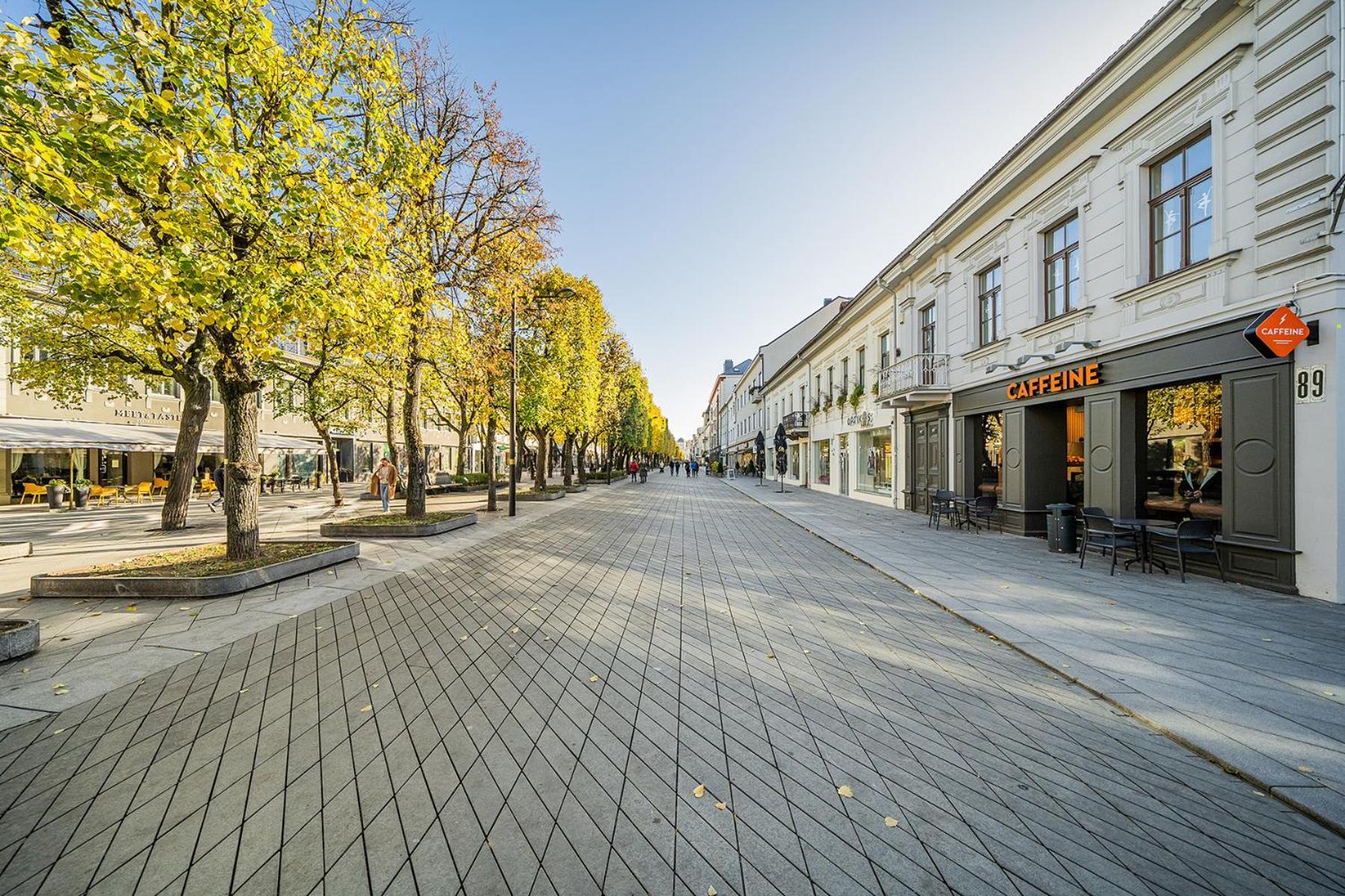 Central Park Apartments - The Luxury Collection Kowno Zewnętrze zdjęcie